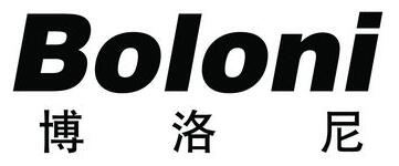 来自Boloni的介绍